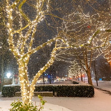 christmas-lighting-gallery 0