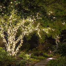 christmas-lighting-gallery 6