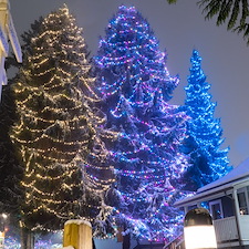 christmas-lighting-gallery 7