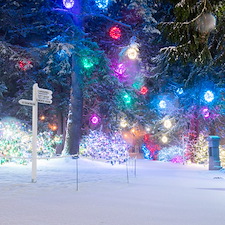 christmas-lighting-gallery 10