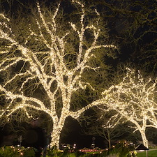 christmas-lighting-gallery 11